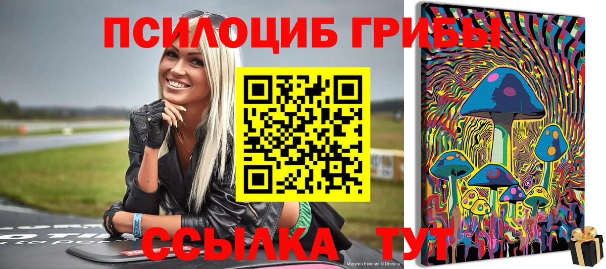 Галлюциногенные грибы Cubensis  Галлюциногенные грибы Magic Shrooms  Тверь  Вход с VPN 