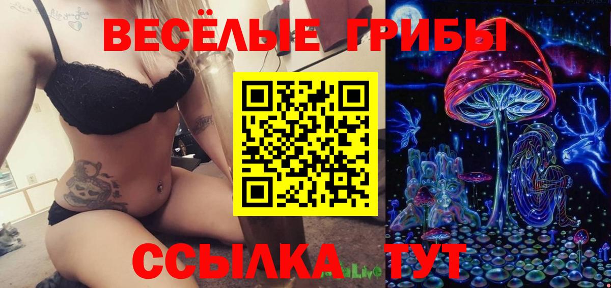 Псилоцибиновые грибы Psilocybe Тверь