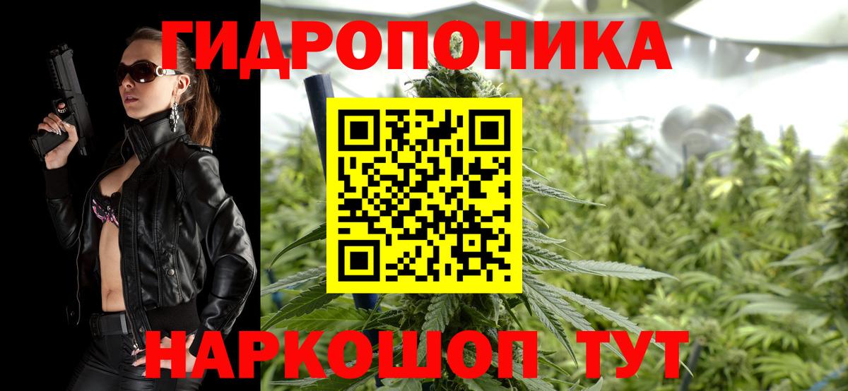 Бошки марихуана OG Kush Тверь
